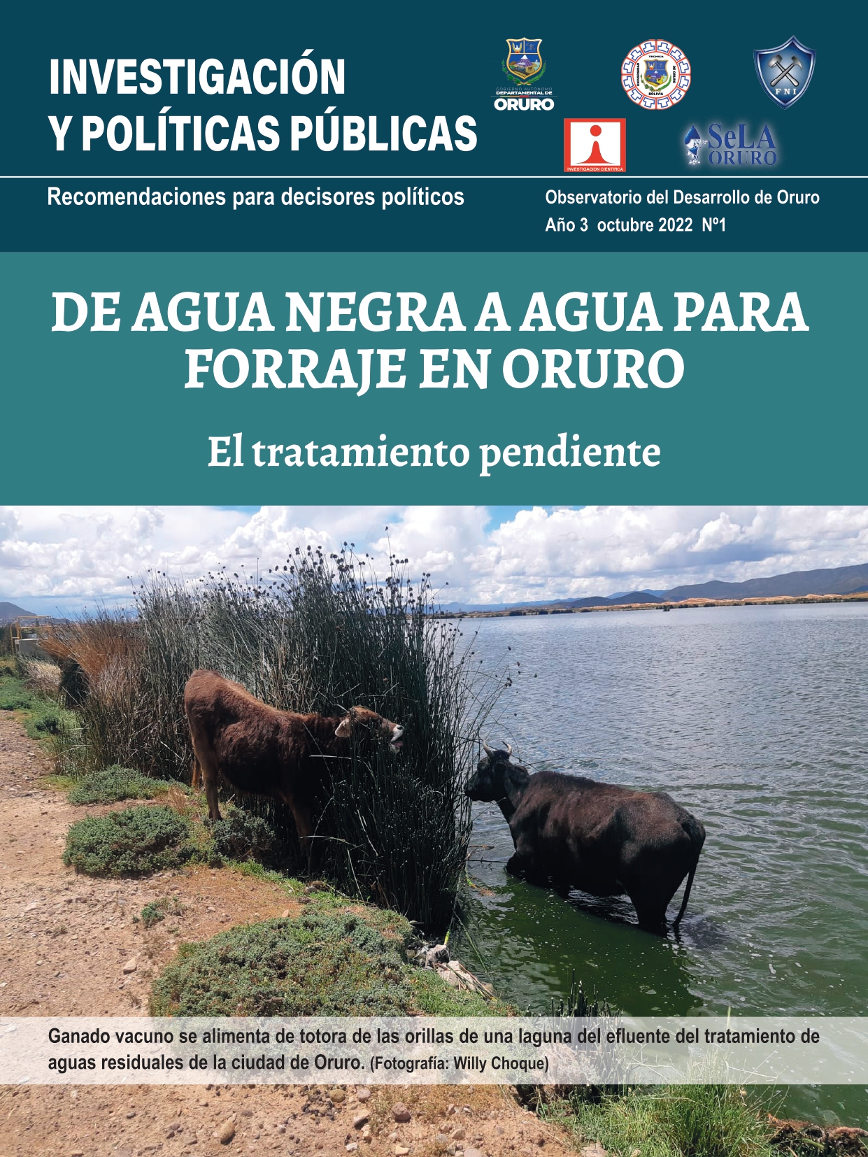 De Agua Negra a Agua para Forraje en Oruro
