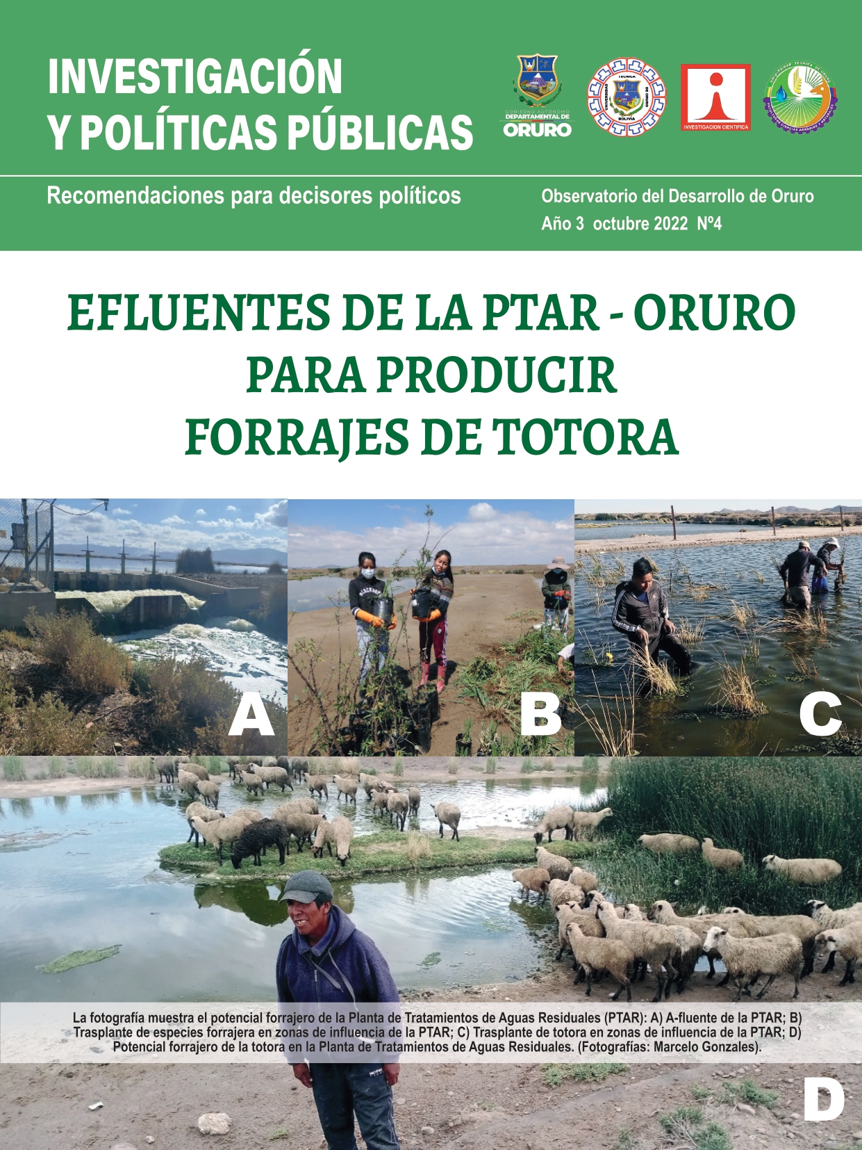 ELUENTES DE LA PTAR - ORURO PARA PRODUCIR FORRAJES DE TOTORA